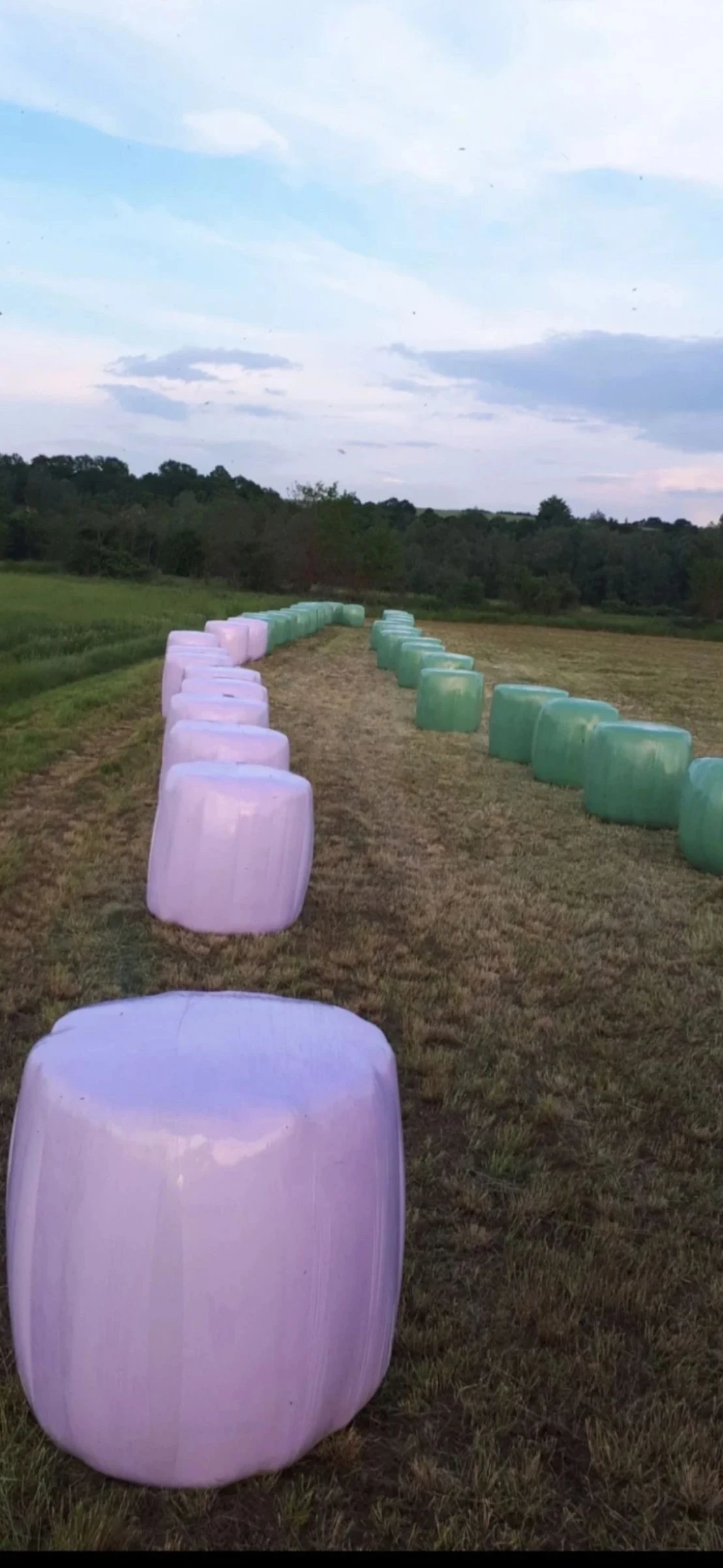 Балировачка John Deere PRONAR Z245, снимка 8 - Селскостопанска техника - 54170365