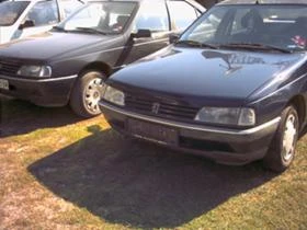 ВРАТИ ЗА ПЕЖО 405, снимка 2