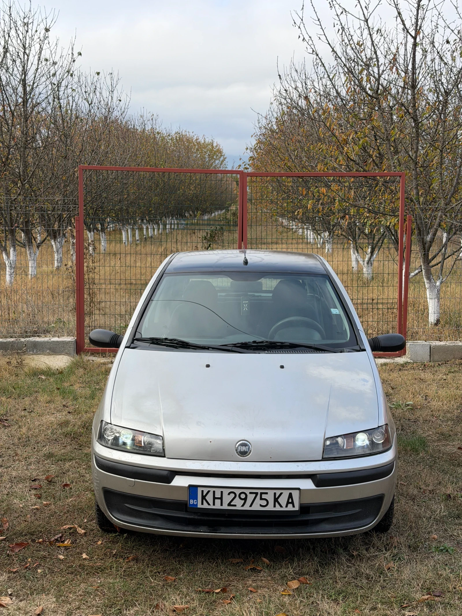 Fiat Punto