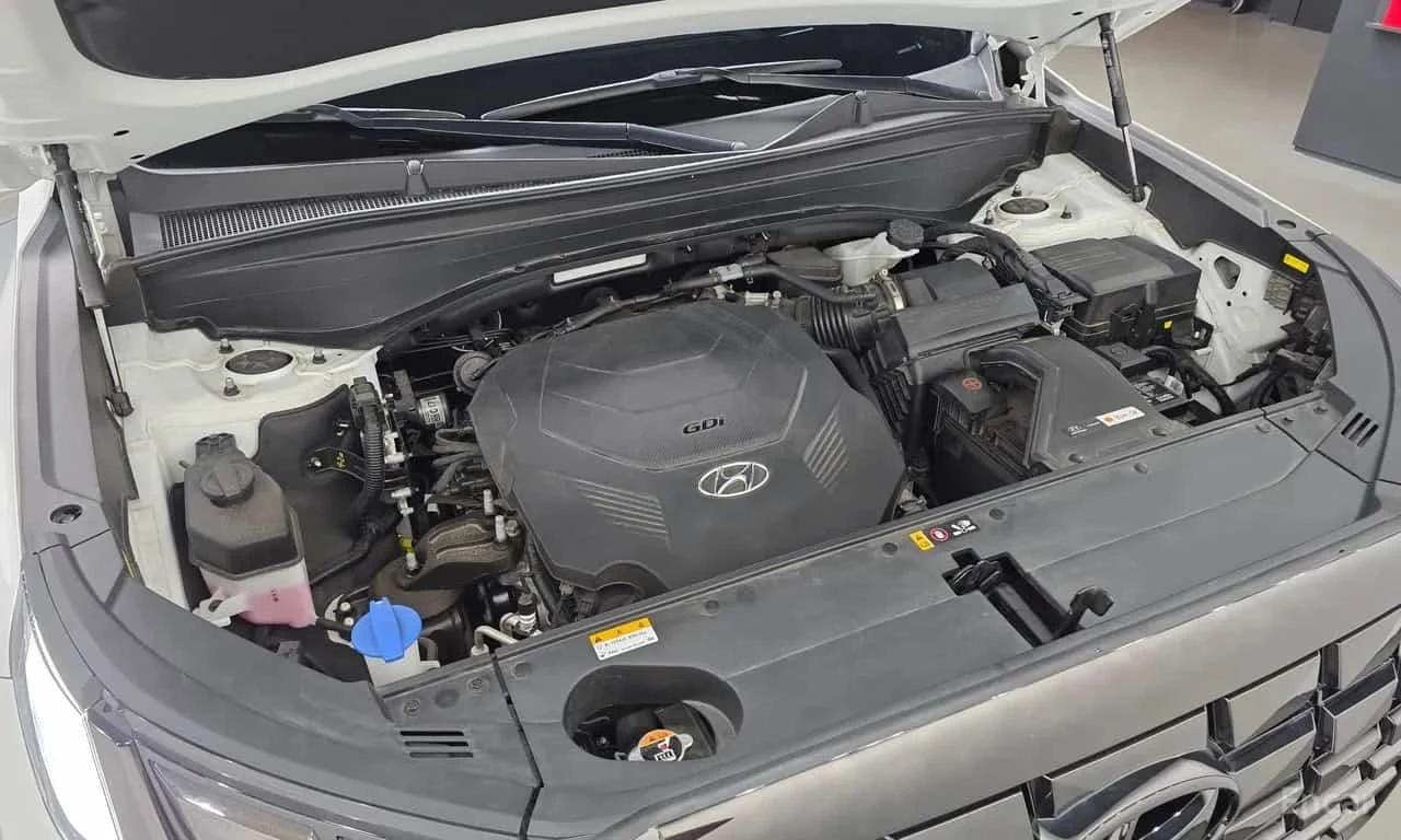 Hyundai Palisade * Gasoline 3.8 4WD *  | Mobile.bg � ����������� 6
