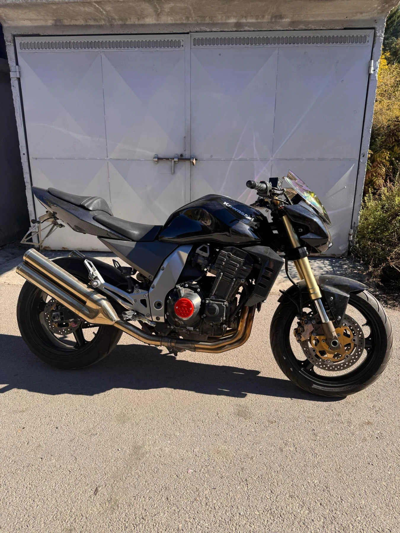 Kawasaki Z  - изображение 4