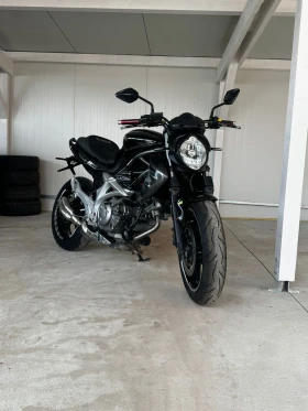 Suzuki Gladius 