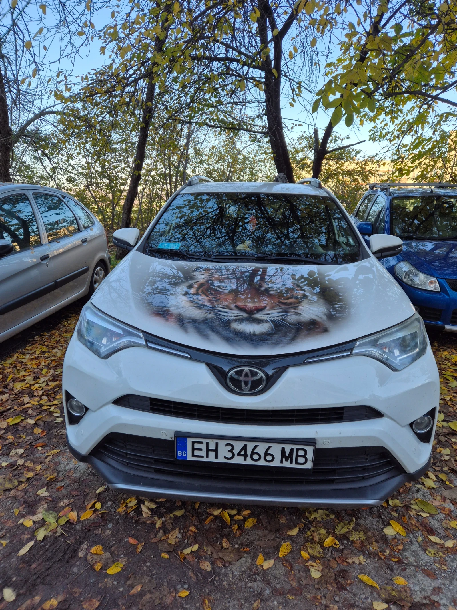 Toyota Rav4, снимка 1