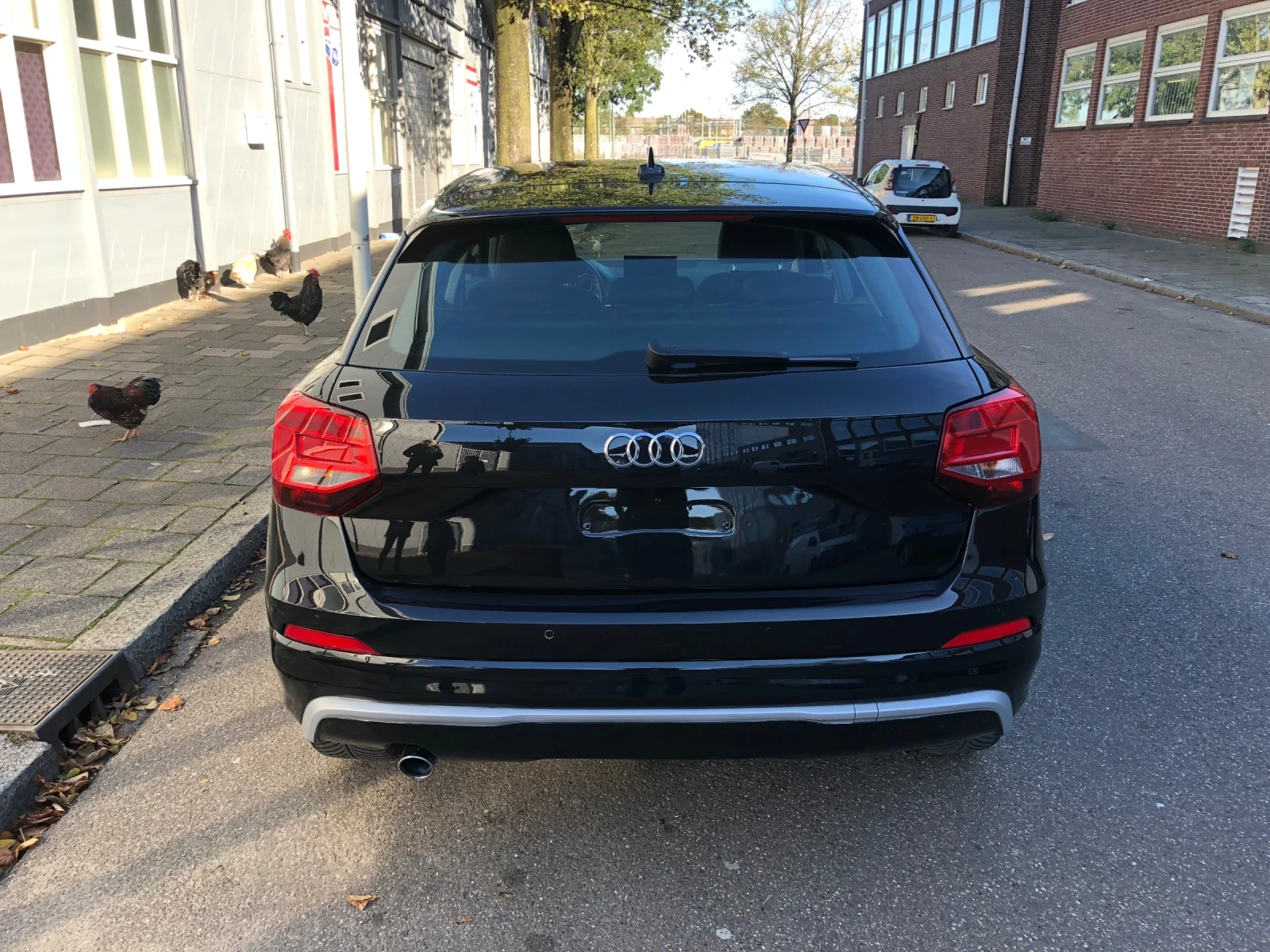 Audi Q2  - изображение 6