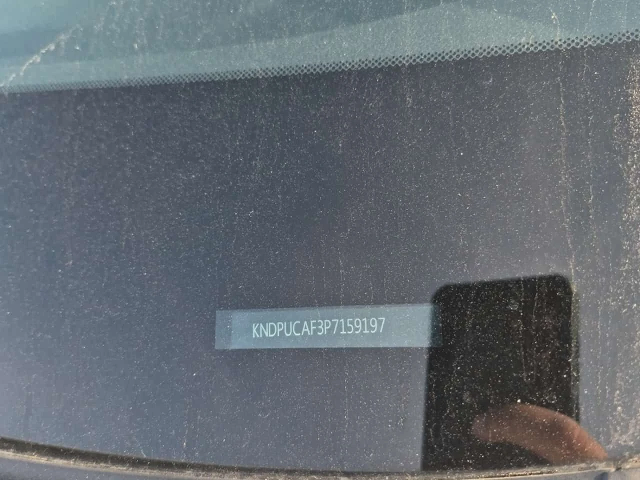 Kia Sportage X LINE/CARFAX/Подгрев/БЯЛА ПЕРЛА, снимка 16 - Автомобили и джипове - 55707909