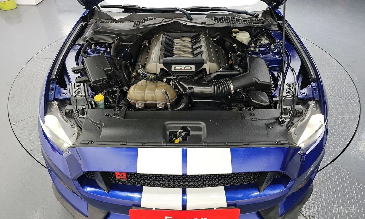 Ford Mustang GT* 5.0* V8* GT350* PACK* BREMBO* ОБДУХВАНЕ* МЪРТВ, снимка 17 - Автомобили и джипове - 54372678