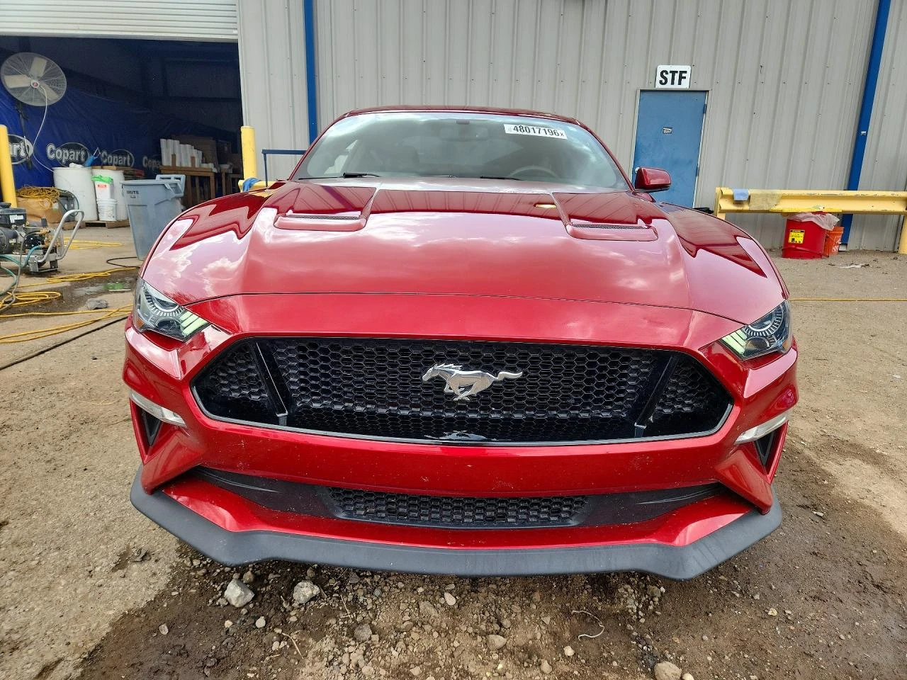Ford Mustang 5.0l Gt, снимка 5 - Автомобили и джипове - 54445832