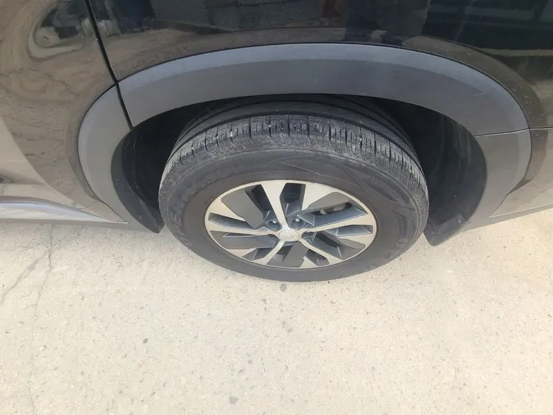 Hyundai Palisade Diesel 2.2 2Wd Exclusive, снимка 10 - Автомобили и джипове - 55652292