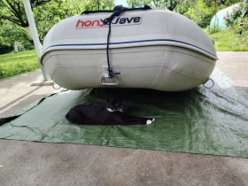 ��������� ����� Honda Marine T30 | Mobile.bg � ����� ������ 7