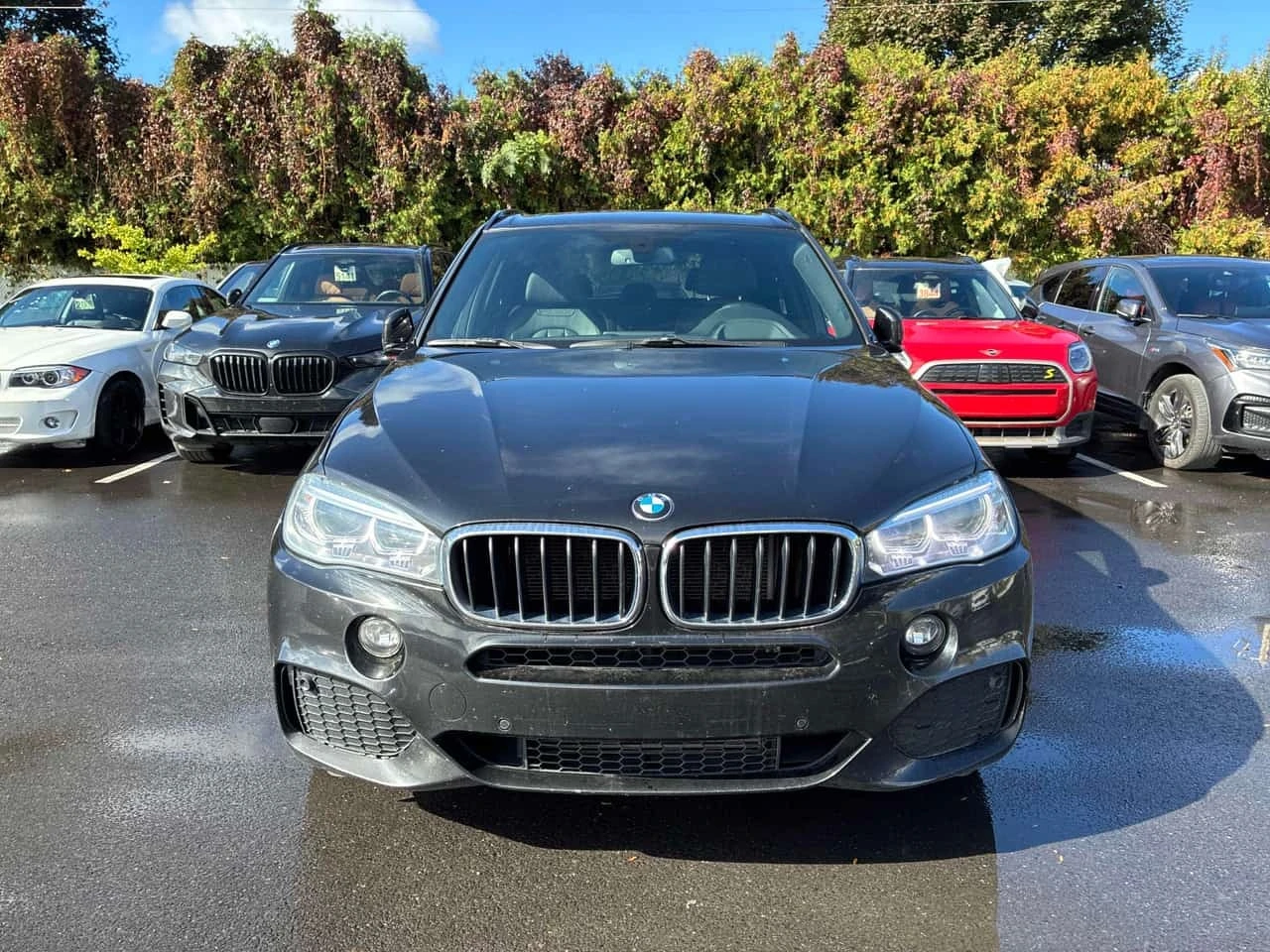 BMW X5 * xDrive35i * CARFAX * H/K ����� * �������� *  | Mobile.bg � ����������� 4