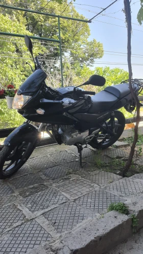  Honda Cbf