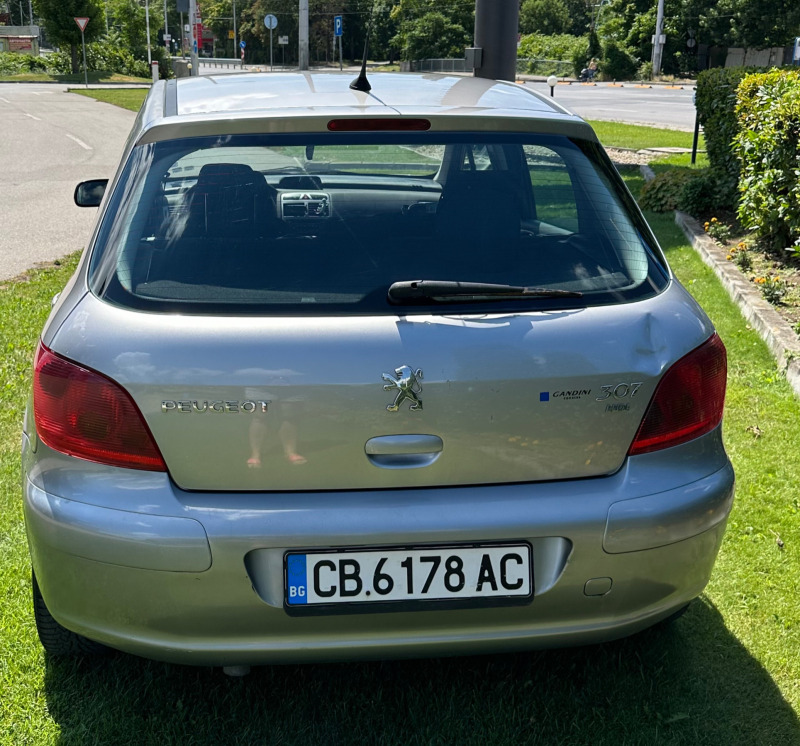 Peugeot 307 307 2.0 HDI, снимка 4 - Автомобили и джипове - 46469010