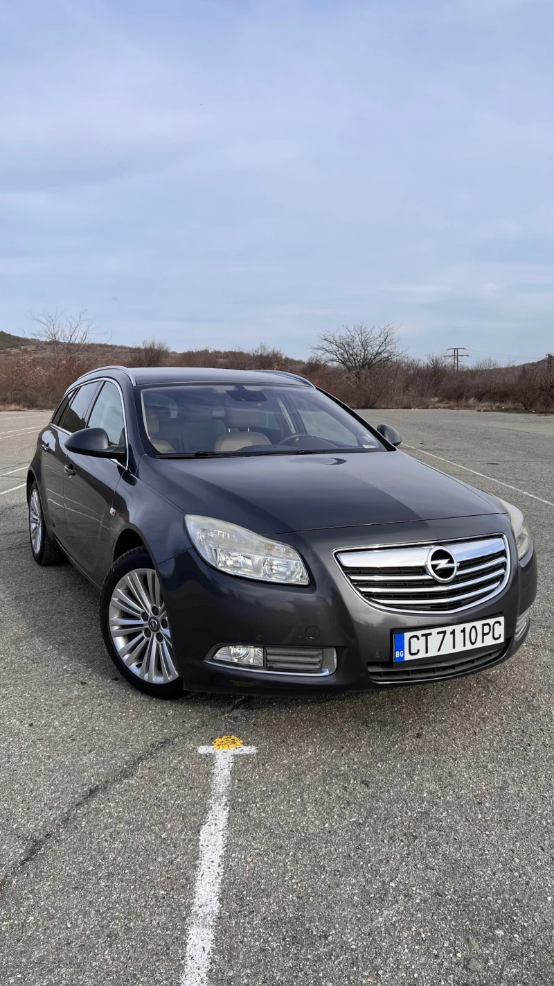 Opel Insignia, снимка 1 - Автомобили и джипове - 48901061