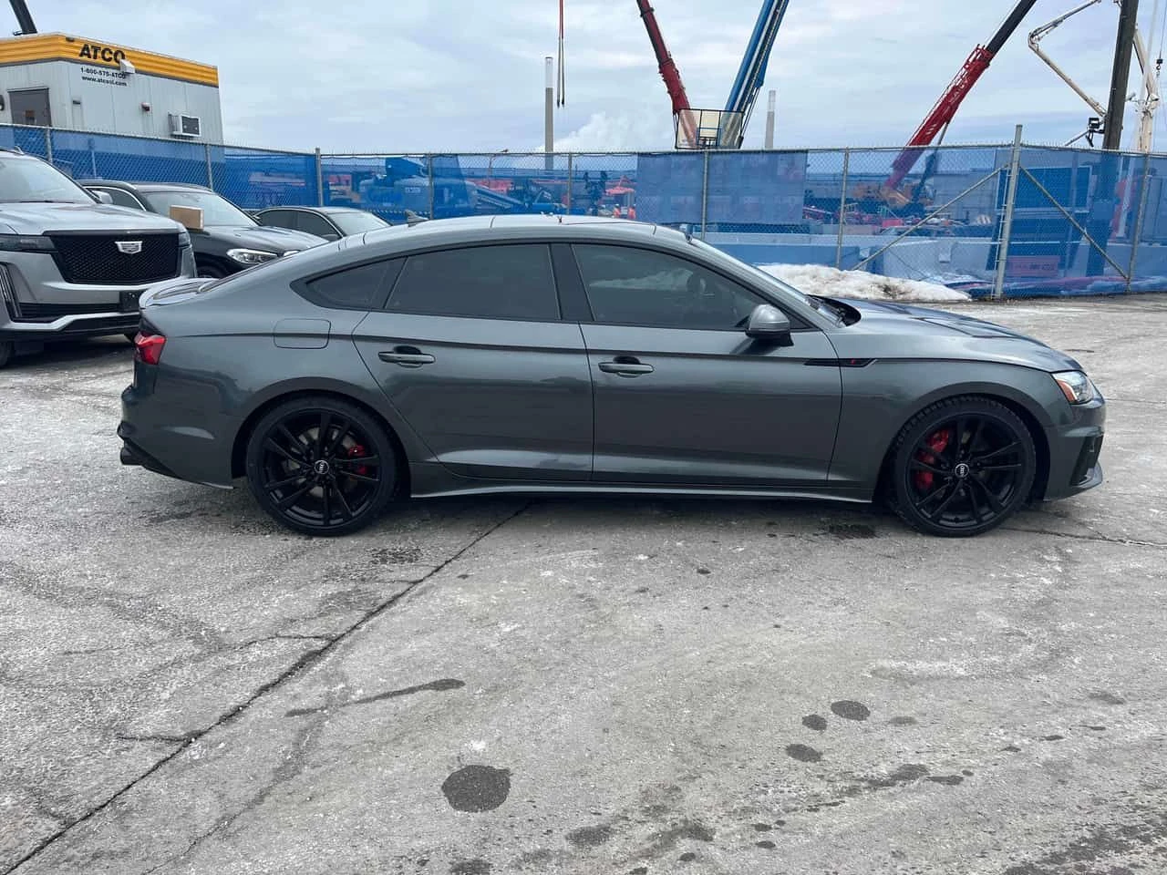 Audi S5  | Technik | DISTRONIC | 360 | CARFAX - изображение 4