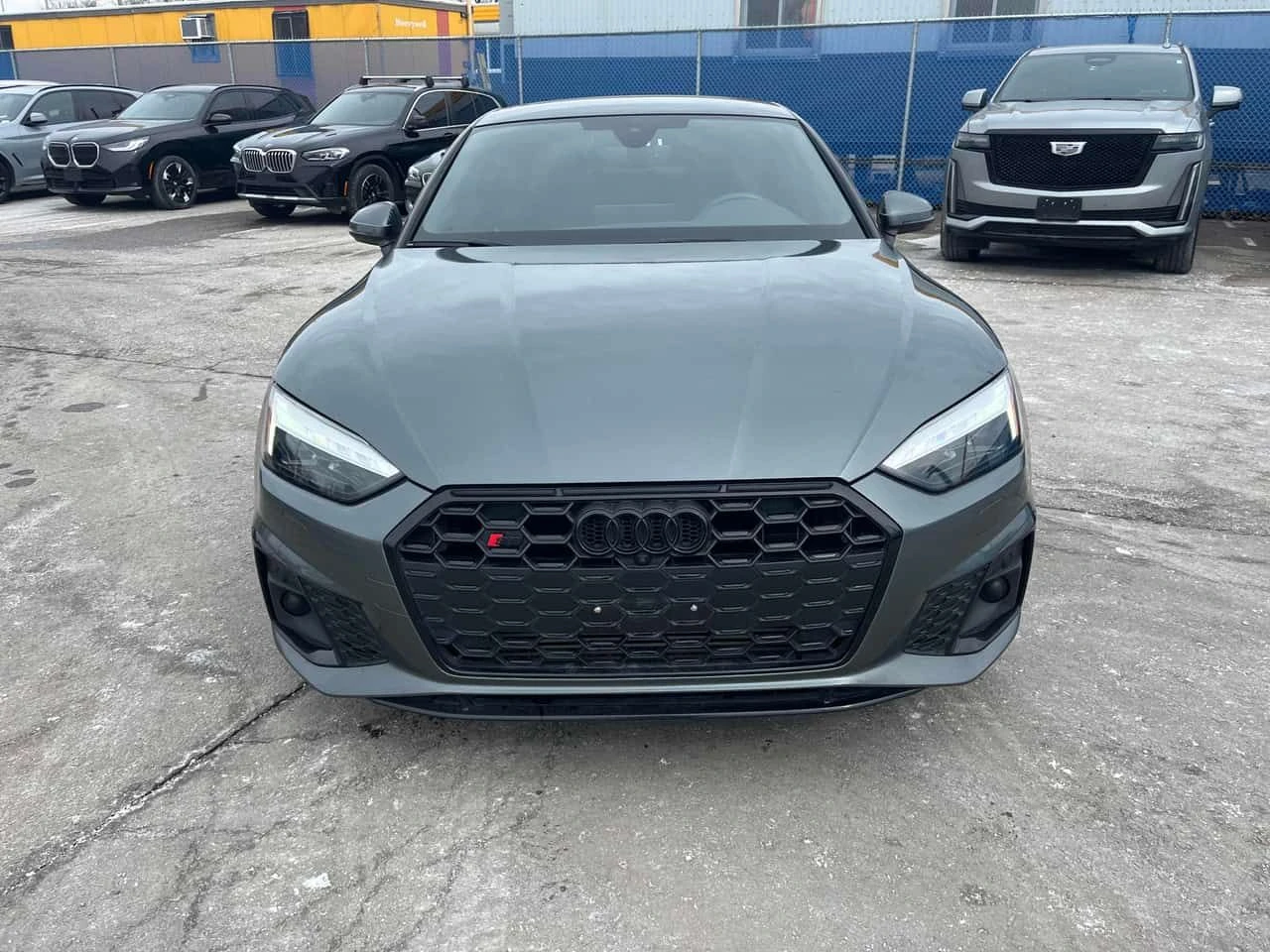 Audi S5  | Technik | DISTRONIC | 360 | CARFAX - изображение 2