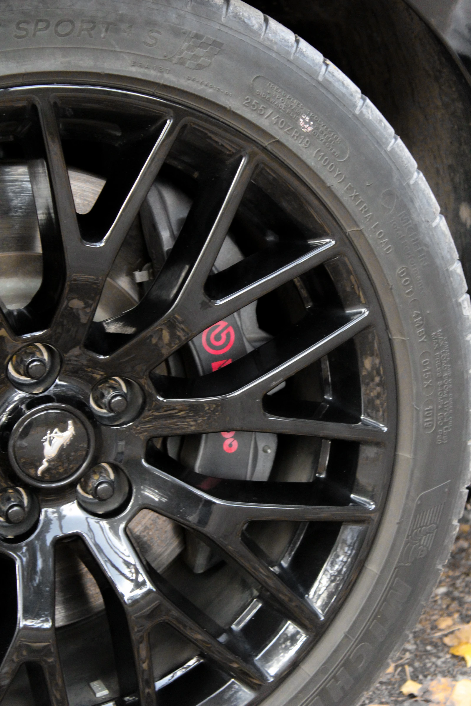 Ford Mustang GT Performance, снимка 15 - Автомобили и джипове - 54573687