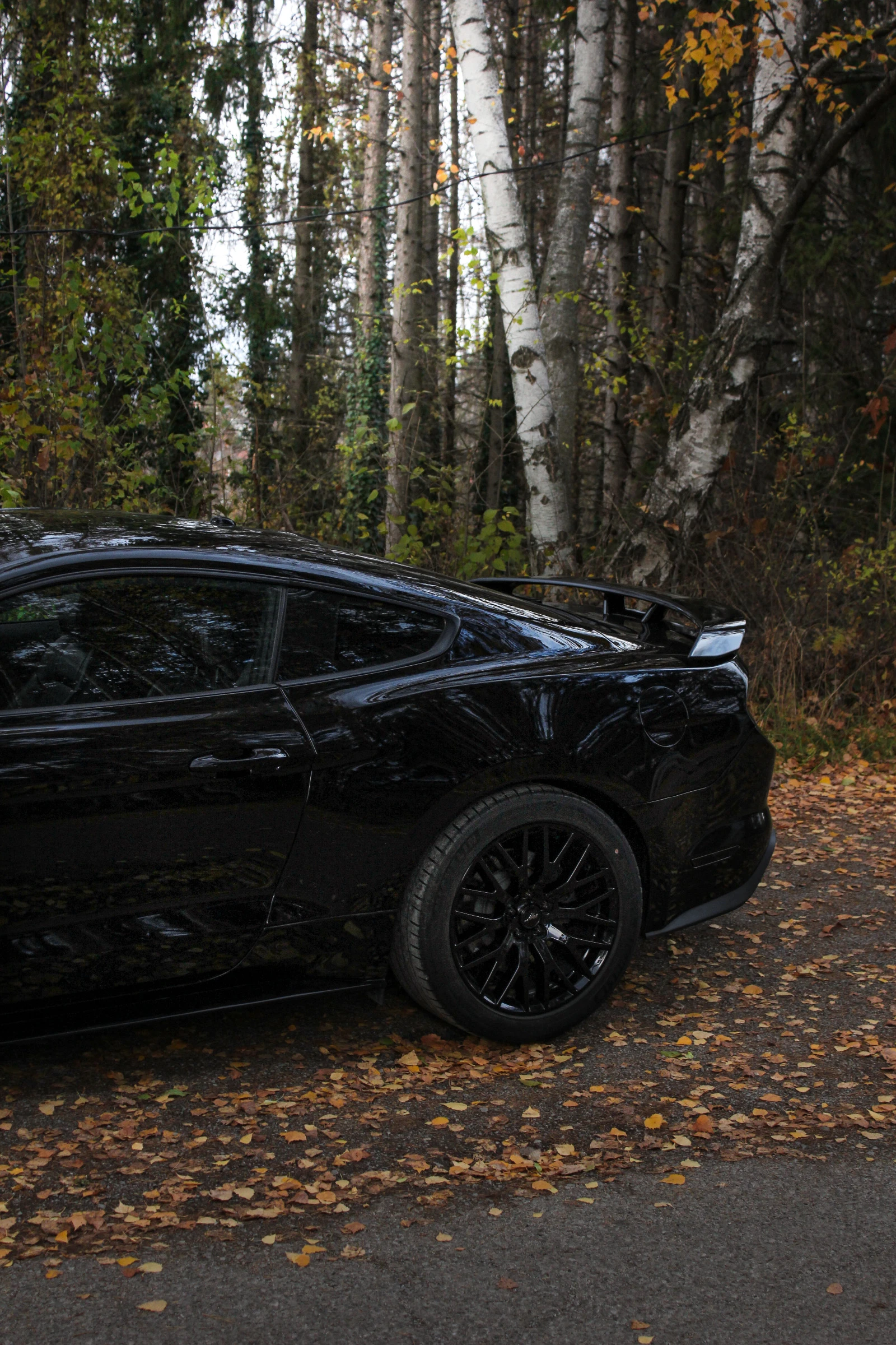 Ford Mustang GT Performance, снимка 14 - Автомобили и джипове - 54573687