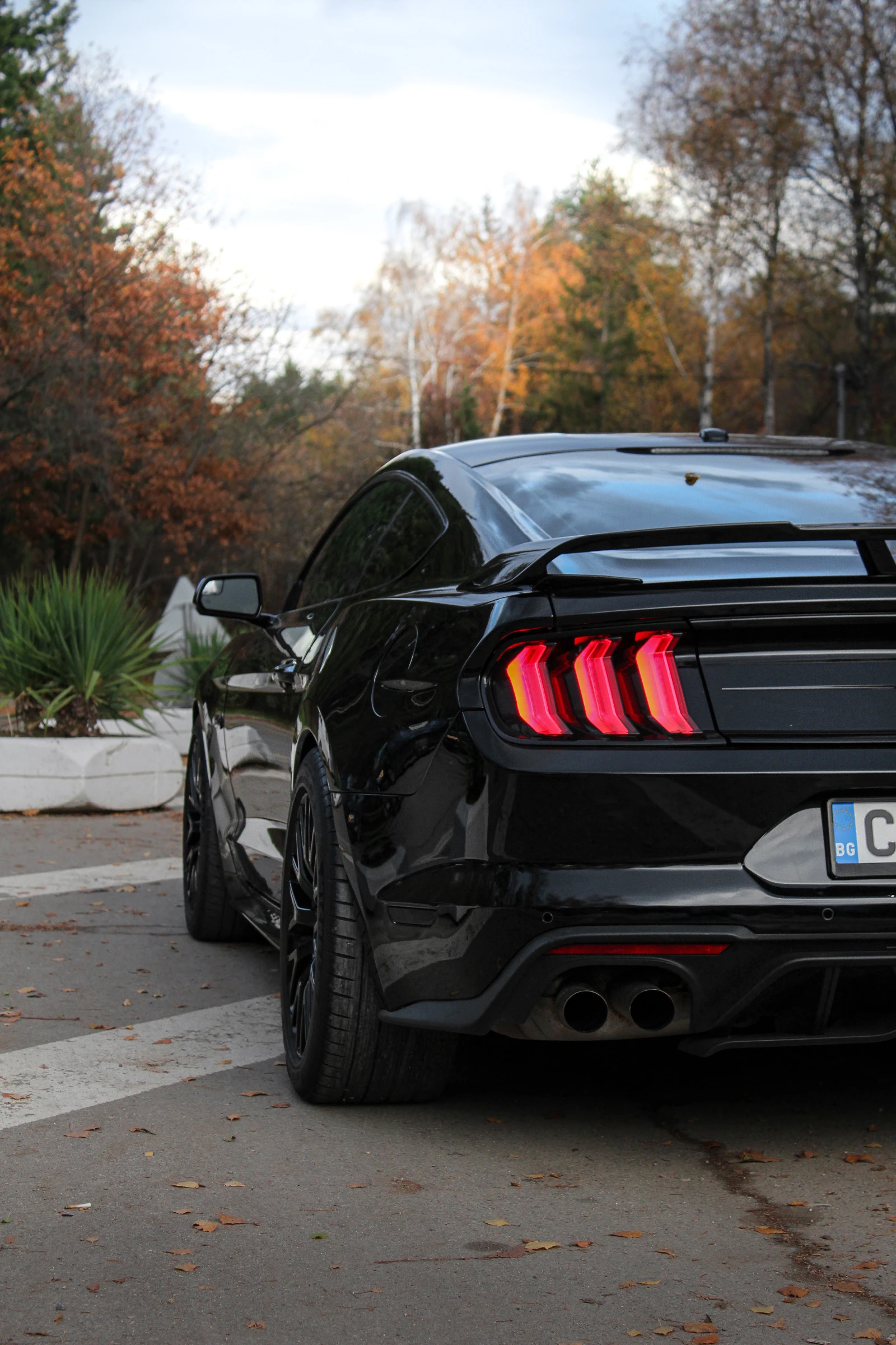 Ford Mustang GT Performance, снимка 17 - Автомобили и джипове - 54573687