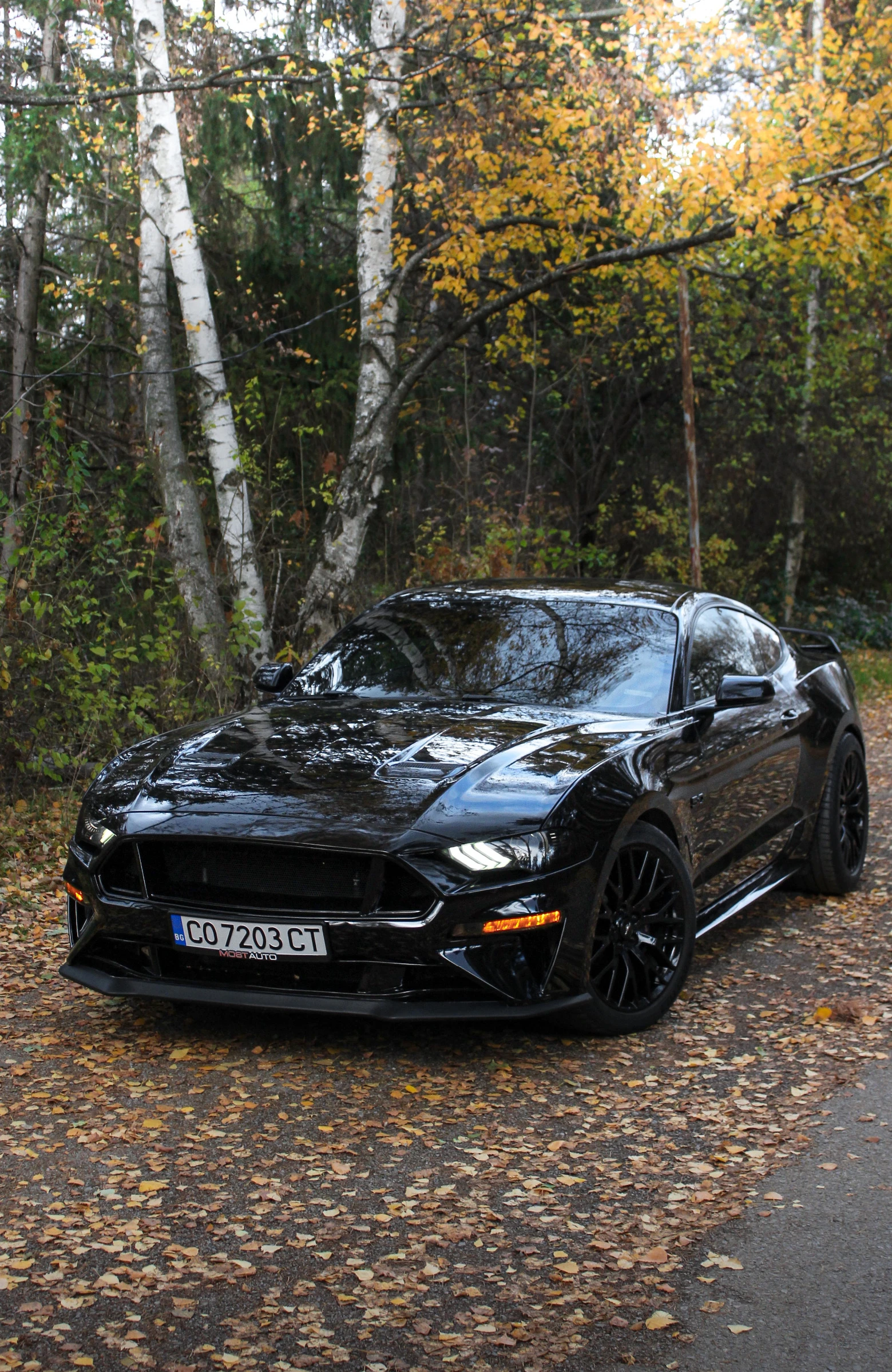 Ford Mustang GT Performance, снимка 13 - Автомобили и джипове - 54573687