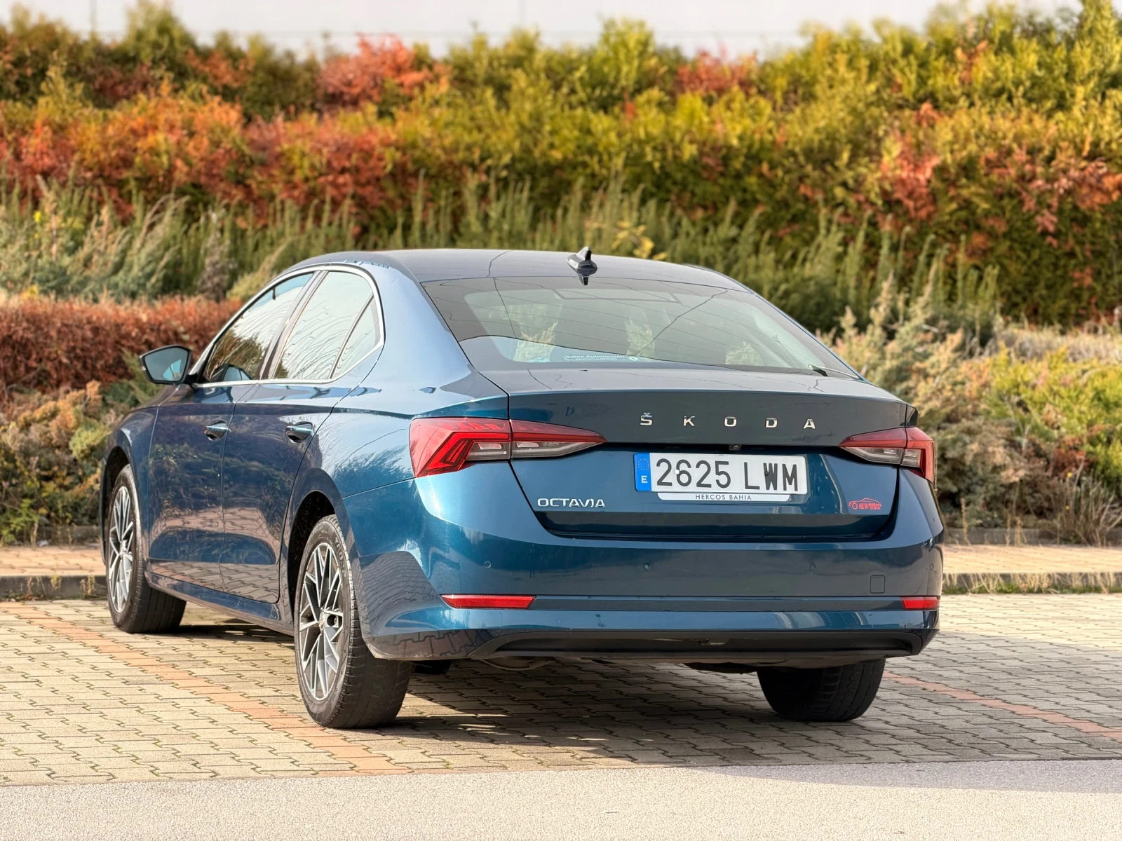 Skoda Octavia 2.0TDI     365 | Mobile.bg   8