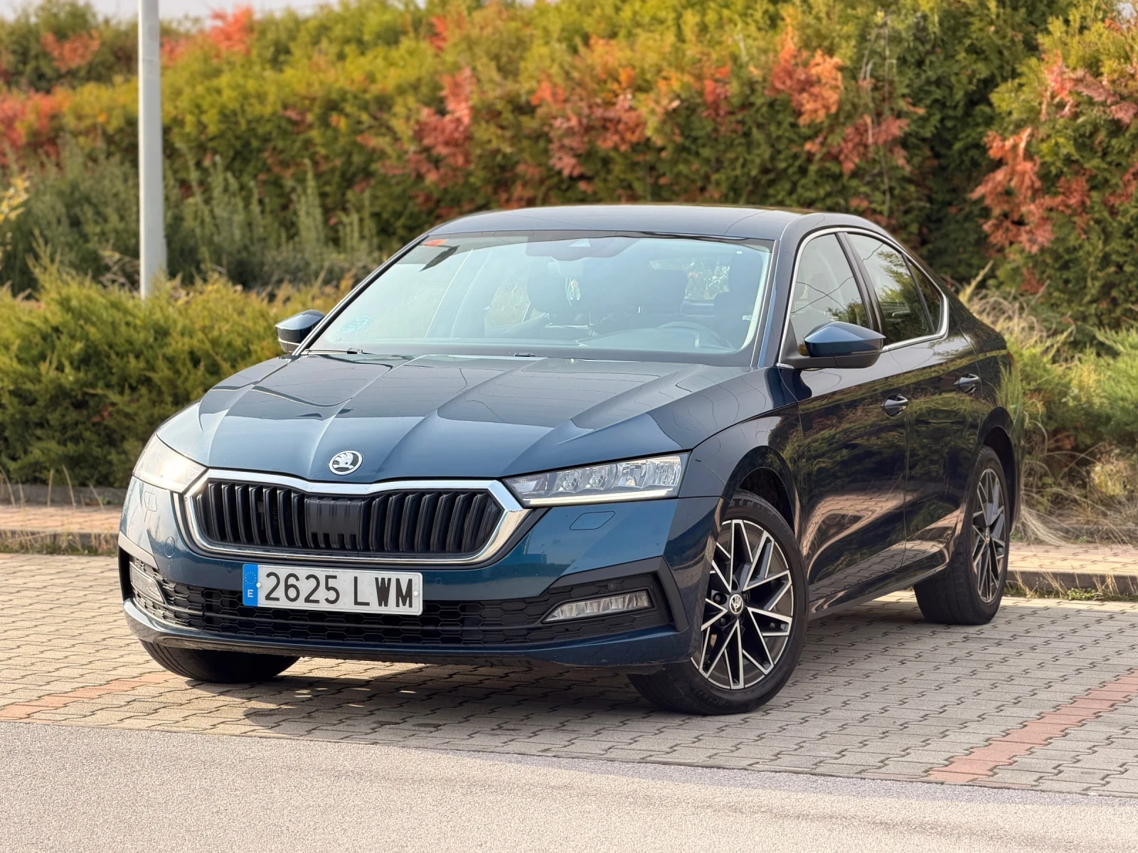 Skoda Octavia 2.0TDI     365 | Mobile.bg   1