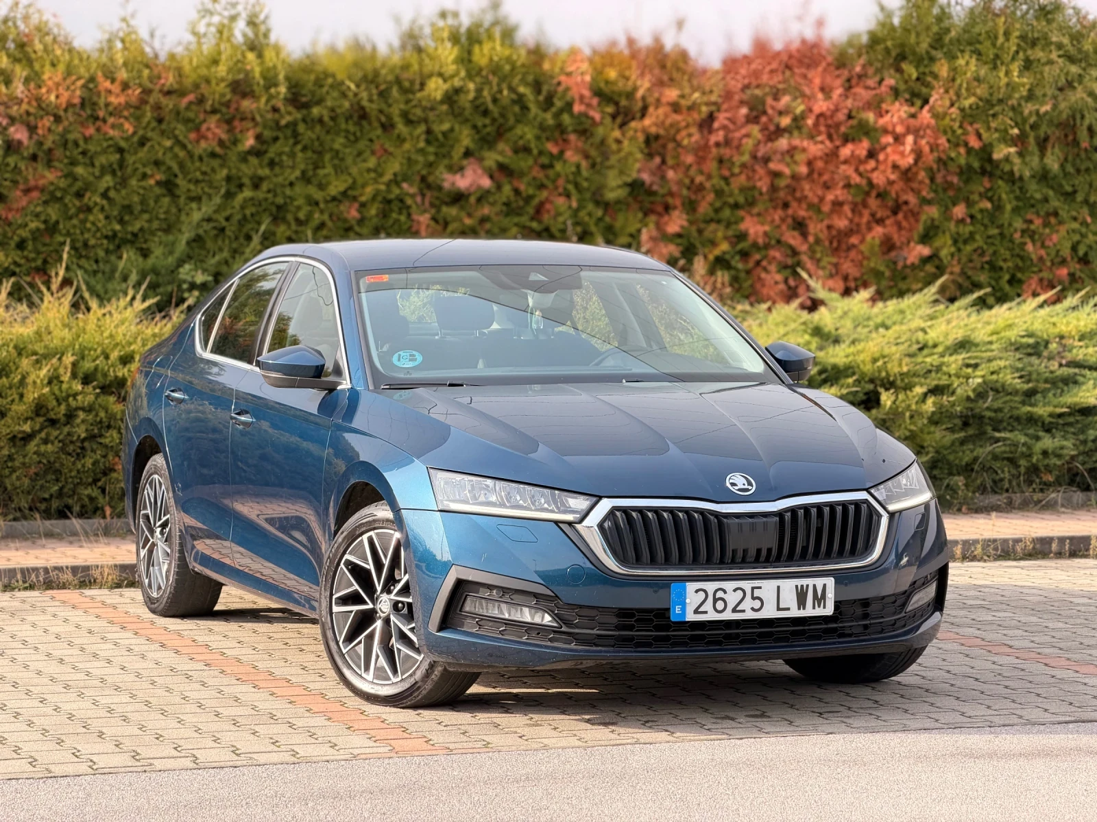 Skoda Octavia 2.0TDI     365 | Mobile.bg   3