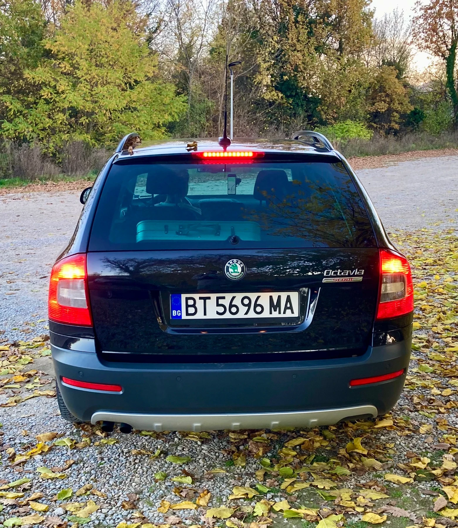 Skoda Octavia Scout - изображение 5