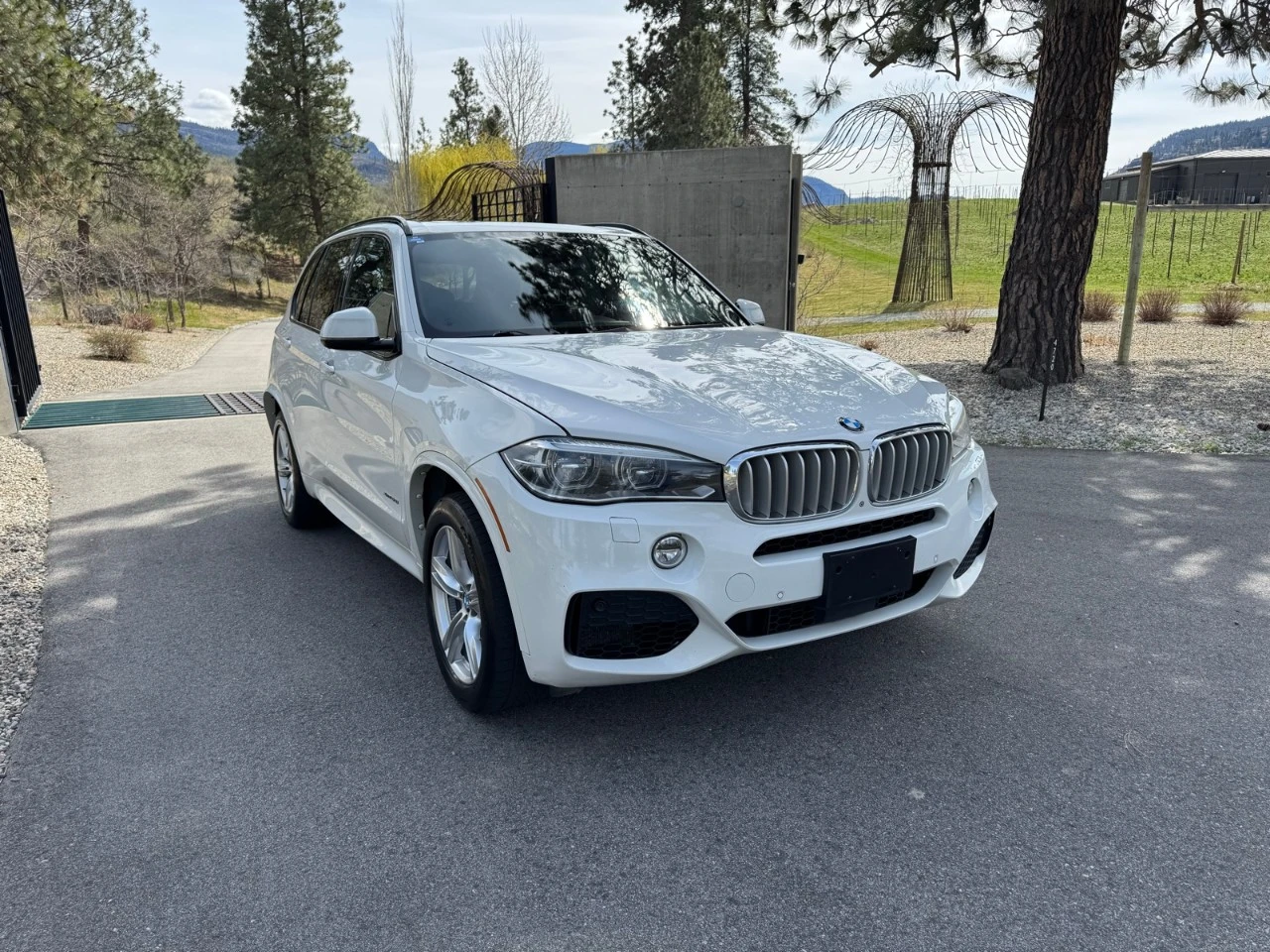 BMW X5 XDRIVE50I PANORAMA/360CAM/BANG OLUFSEN, снимка 3 - Автомобили и джипове - 55263041
