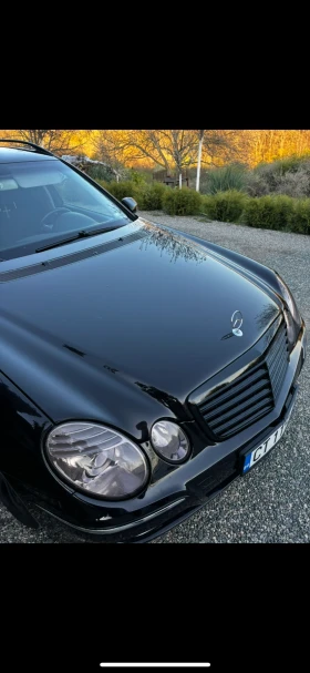 Mercedes-Benz E 200 Evo | Mobile.bg    3
