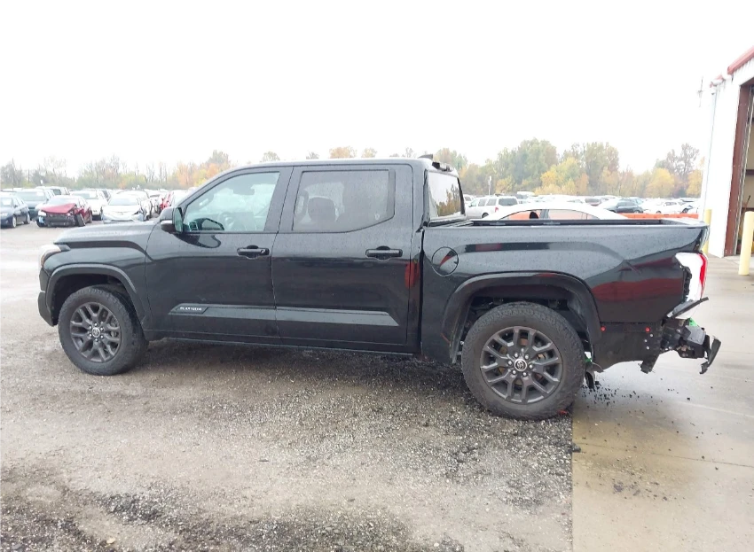 Toyota Tundra PLATINUM - изображение 8