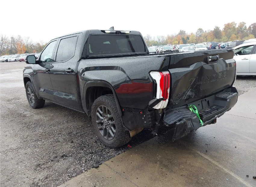 Toyota Tundra PLATINUM - изображение 7