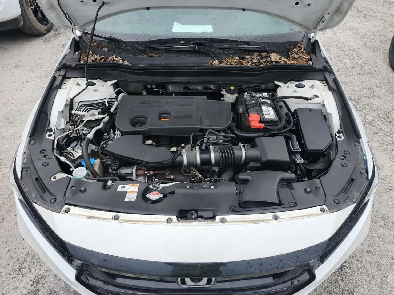 Honda Accord * SPORT 2.0* ПОДГРЕВ* KEYLESS* , снимка 17 - Автомобили и джипове - 54339953