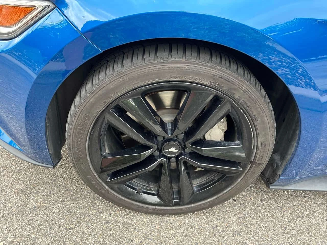 Ford Mustang * EcoBoost * CARFAX * БЕЗ ПЪРВОНАЧАЛНА ВНОСКА, снимка 7 - Автомобили и джипове - 54919946