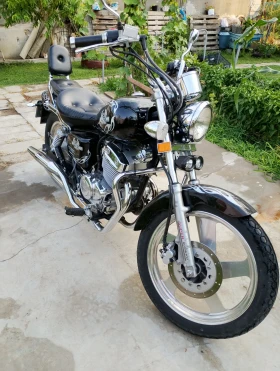     Jinlun JL 250
