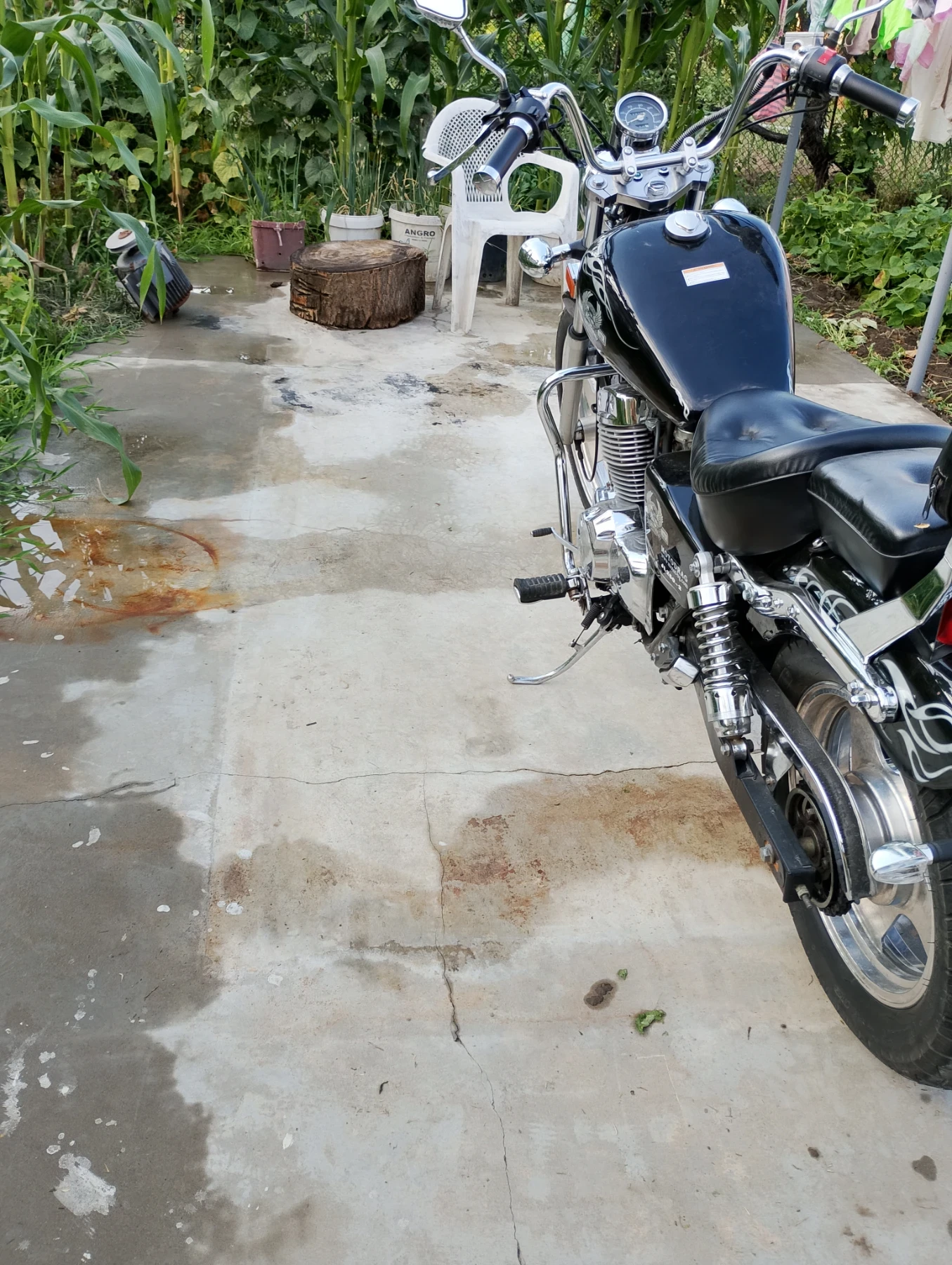 Jinlun JL 250  - изображение 5