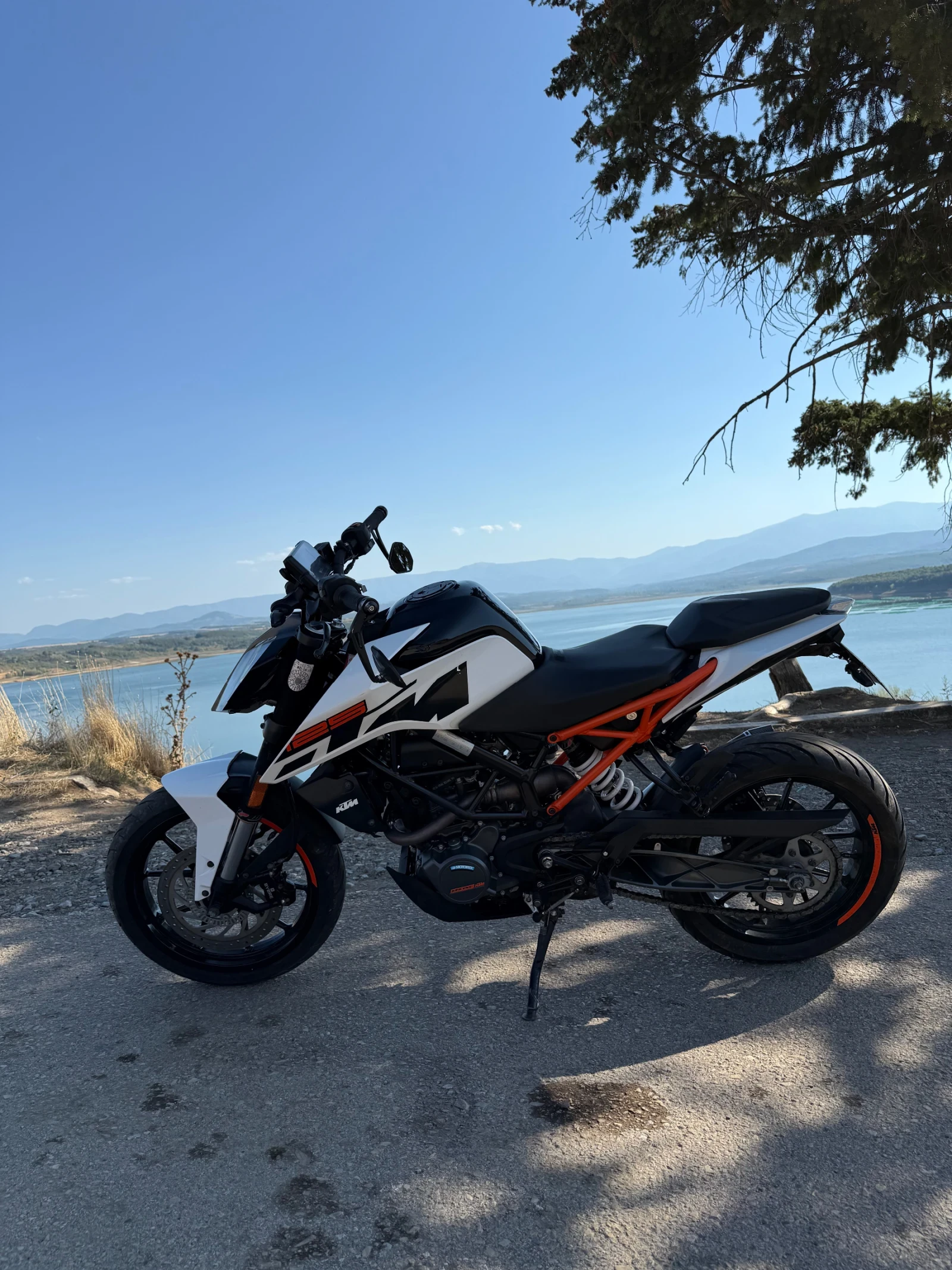 Ktm Duke  - изображение 4