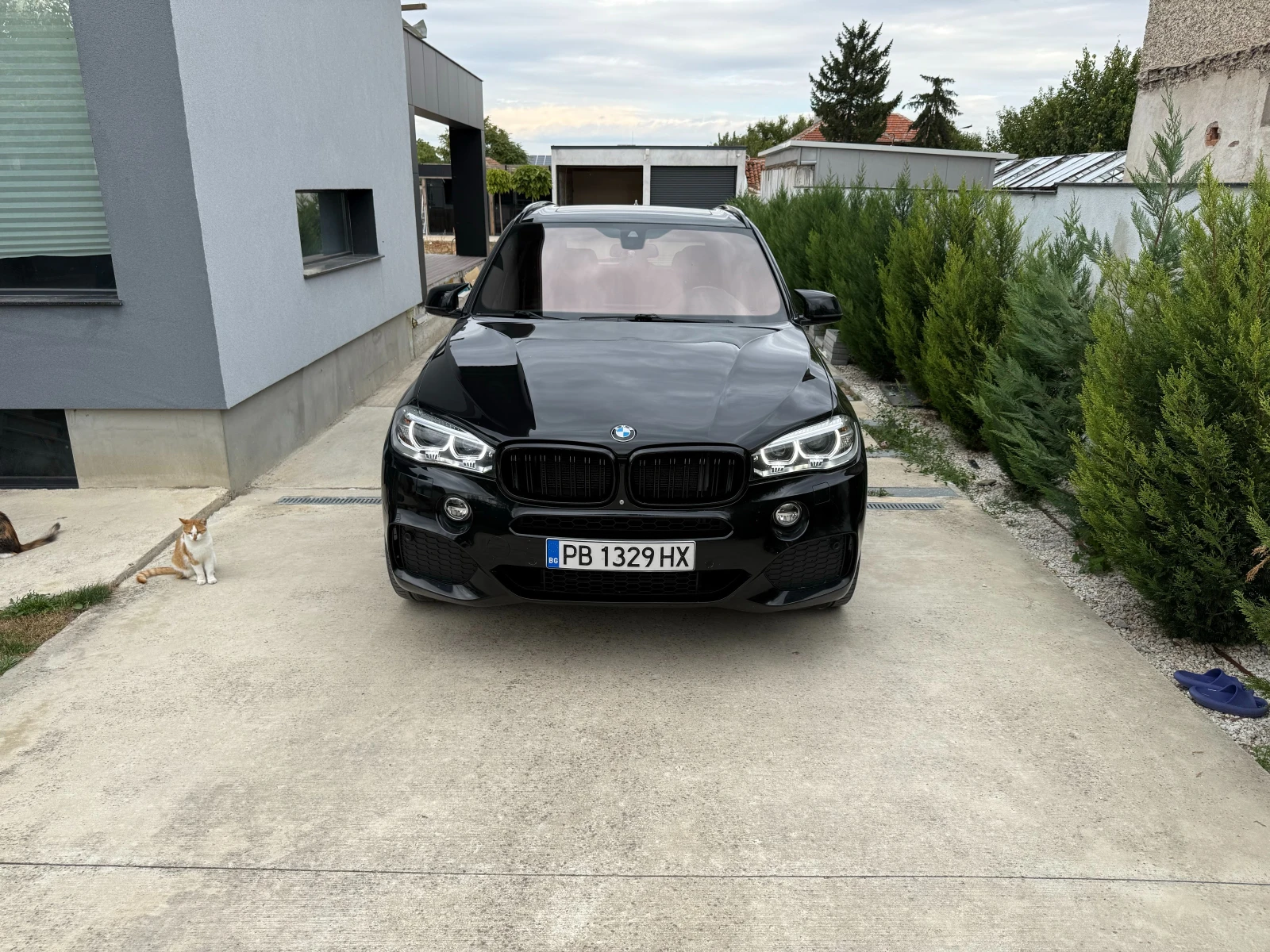 BMW X5 F15, снимка 14 - Автомобили и джипове - 53878483