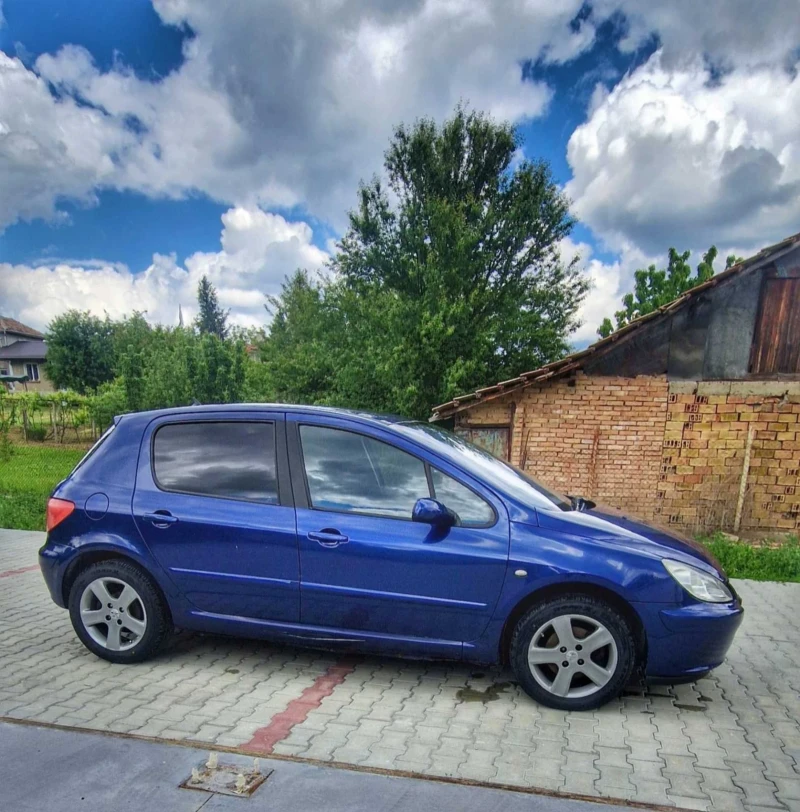 Peugeot 307 HDI, снимка 14 - Автомобили и джипове - 52910834