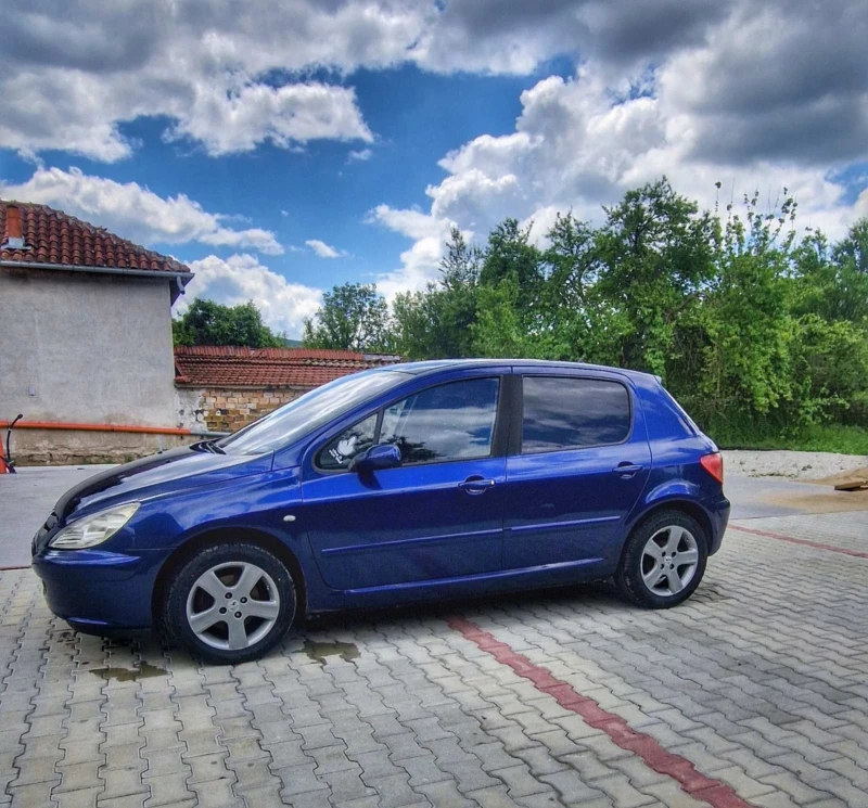 Peugeot 307 HDI, снимка 13 - Автомобили и джипове - 52910834