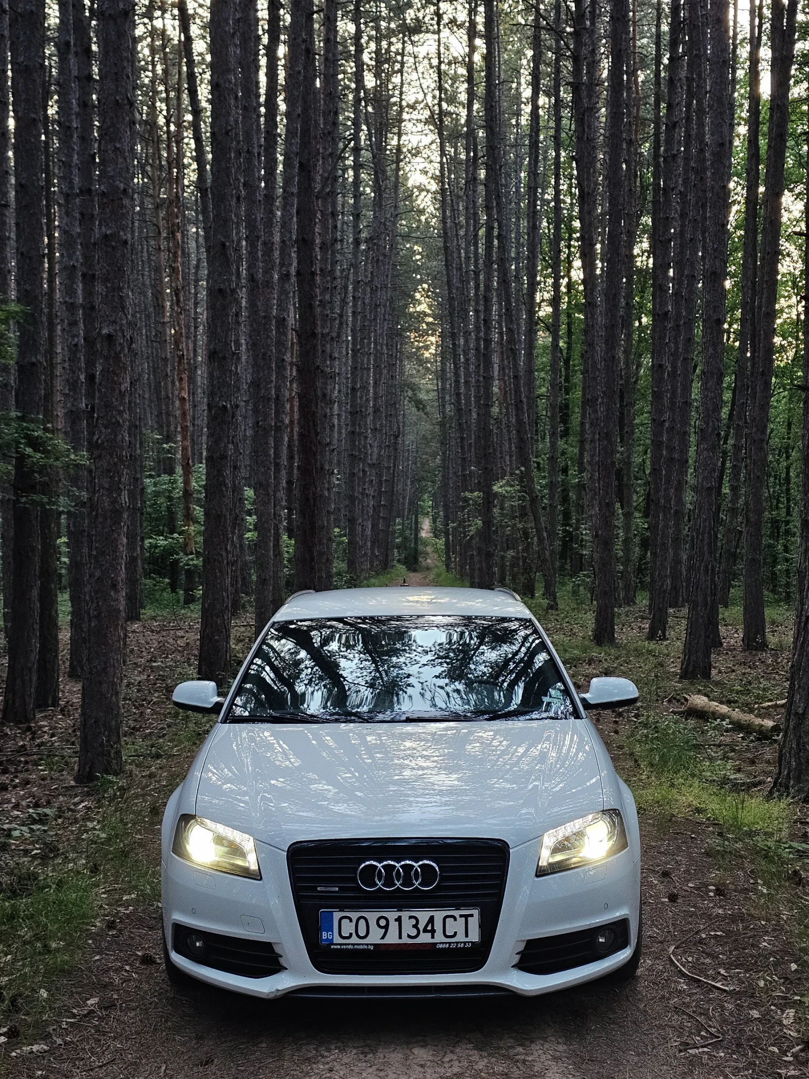 Audi A3  - изображение 2