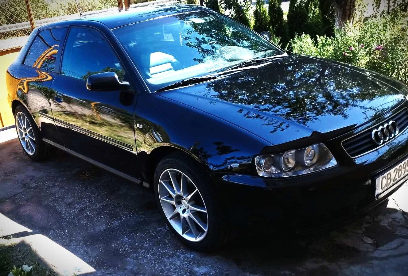 Audi A3 1.8 T, снимка 16 - Автомобили и джипове - 54824418