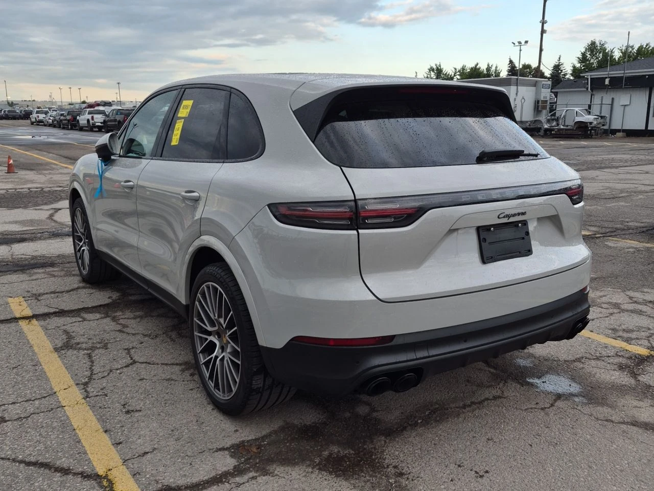 Porsche Cayenne PLATINUM EDITION, снимка 4 - Автомобили и джипове - 55728737