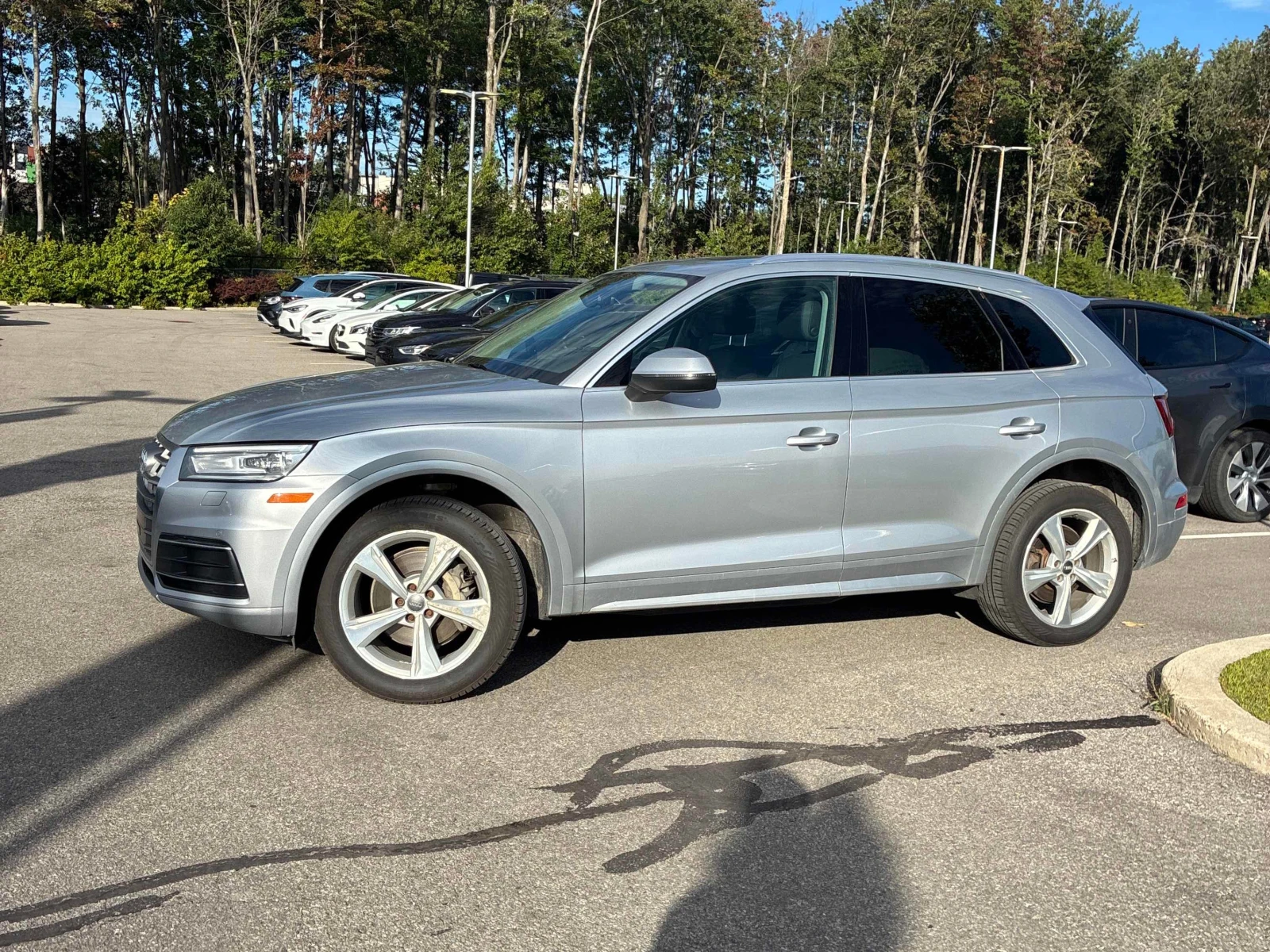 Audi Q5 * Progressiv * CARFAX * ОПЦИЯ ЗА ФИНАНСИРАНЕ, снимка 2 - Автомобили и джипове - 55932199