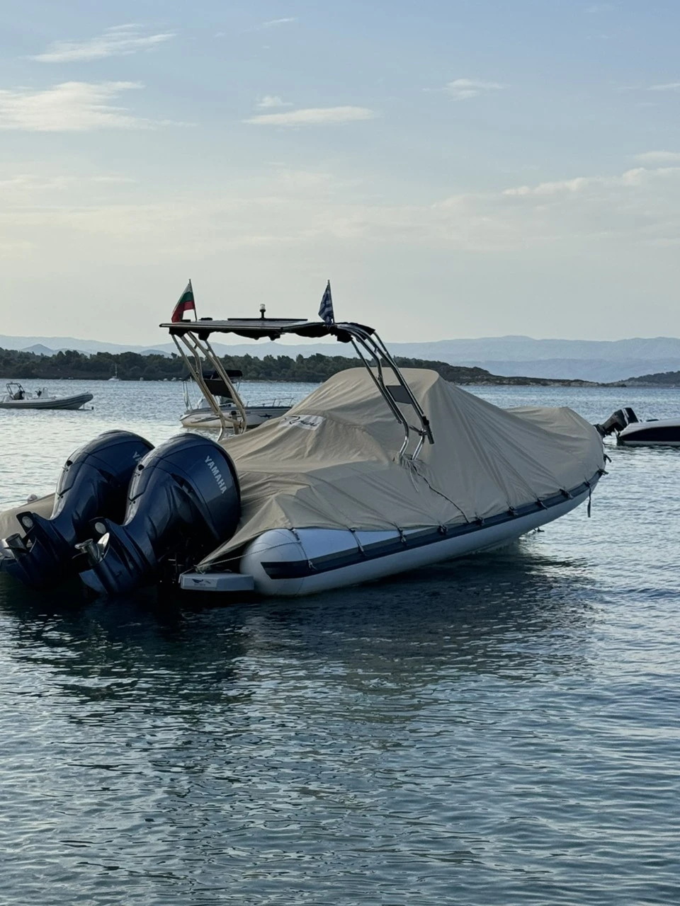   Ranieri Cayman 28 Executive Trofeo | Mobile.bg   11