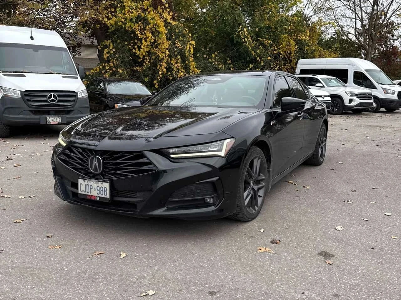Acura TLX
