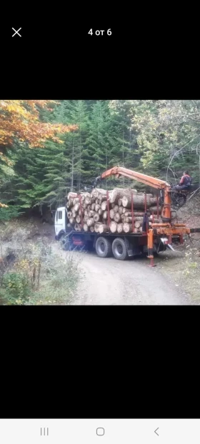 Mercedes-Benz 0309 undefined | Auto.bg — изображение 4