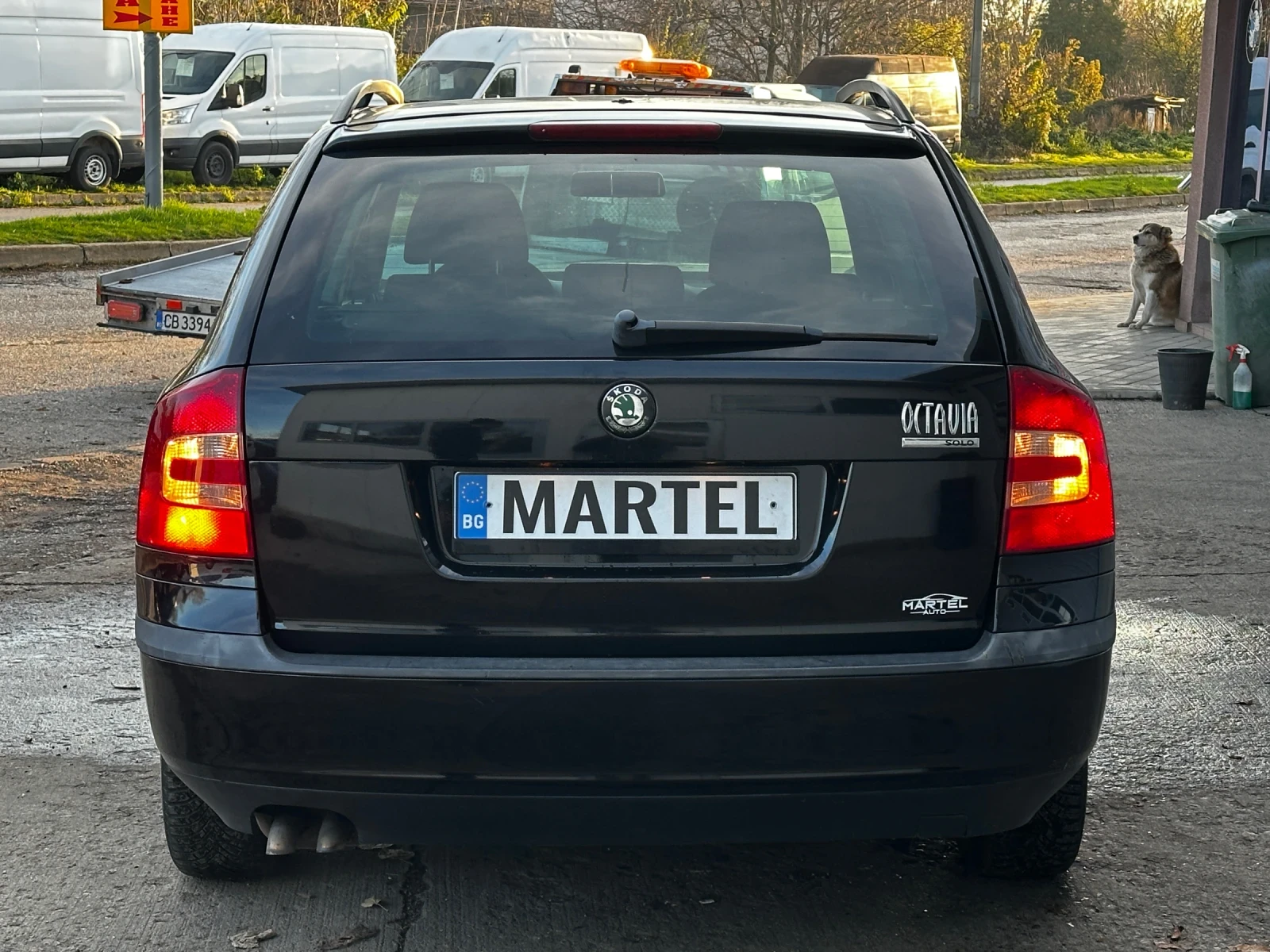 Skoda Octavia 1.9TDI 4x4 - изображение 5