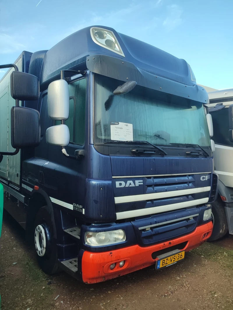 Daf CF