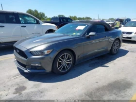 Ford Mustang ECOBOOST PREMIUM*  - 11800 € - 86597502 3