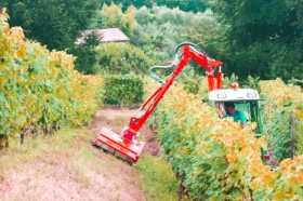 Друг вид Внос Хидравлично рамо с шредер Tecnoagri, снимка 6